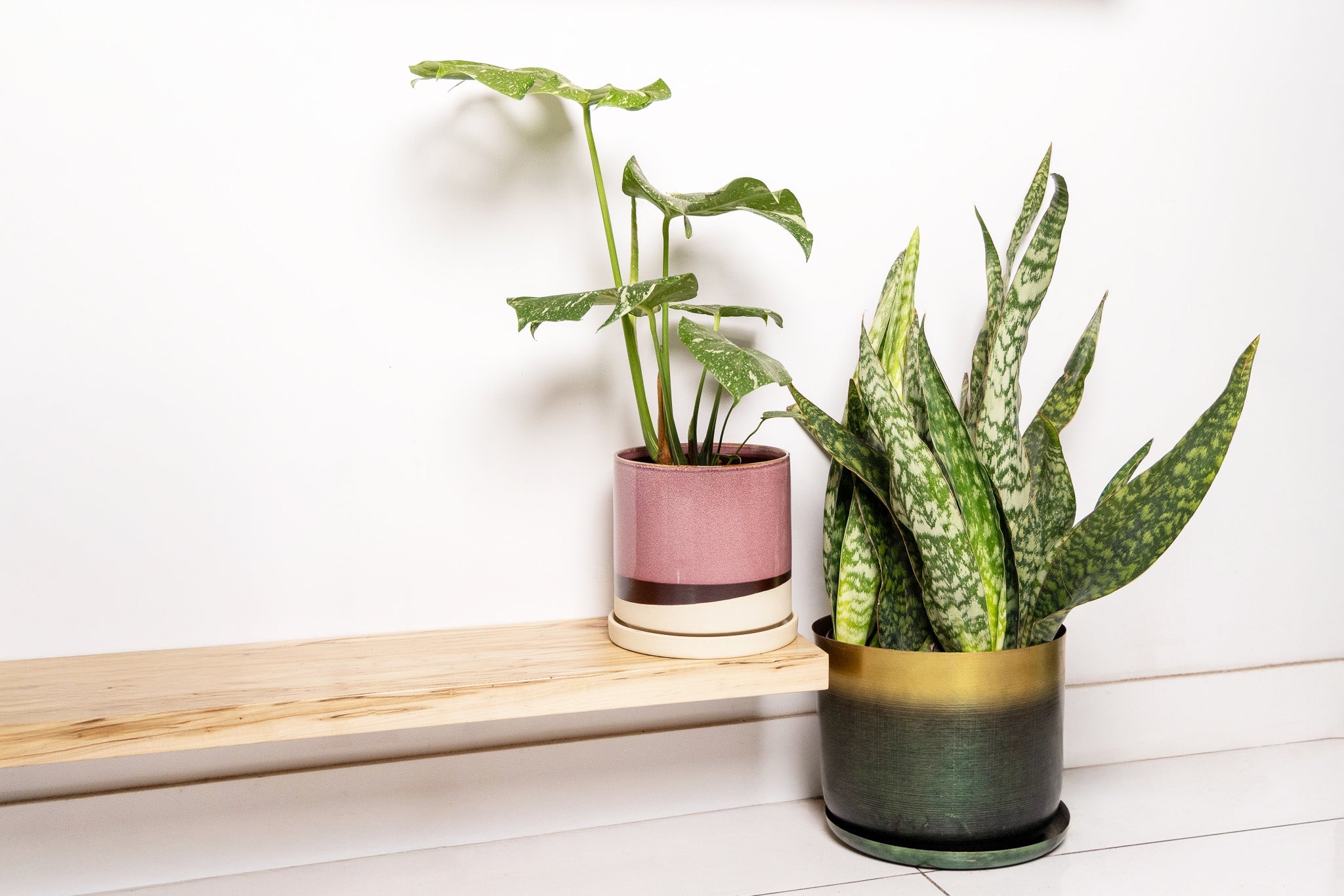 Indoor Plant Pots - Chive Ceramics Studio
