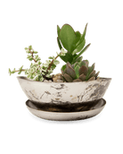 Topper Metal Succulent Dish - Chive Ceramics Studio - Pots - Chive US