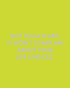 Got you a plant. It won't complain about your life choices. - Greeting Card - Chive Ceramics Studio - Cards - Chive Ceramics Studio