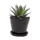 Tika Ceramic Pot & Saucer Set With Drainage - Chive Ceramics Studio - Pots - Chive Ceramics Studio