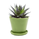 Tika Ceramic Pot & Saucer Set With Drainage - Chive Ceramics Studio - Pots - Chive Ceramics Studio