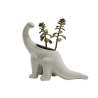 Brontosaurus Ceramic Indoor Plant Pot for Succulents - Chive Ceramics Studio - Pots - Chive Ceramics Studio
