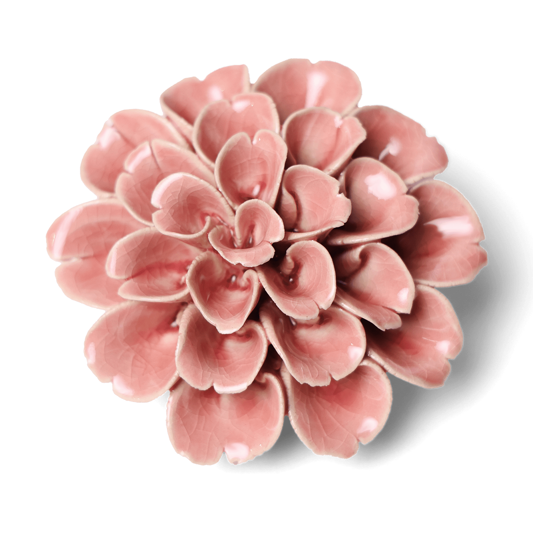Ceramic Flowers With Keyhole For Hanging On Walls Collection 11 - Chive Ceramics Studio - Ceramic Flowers - Chive Ceramics Studio
