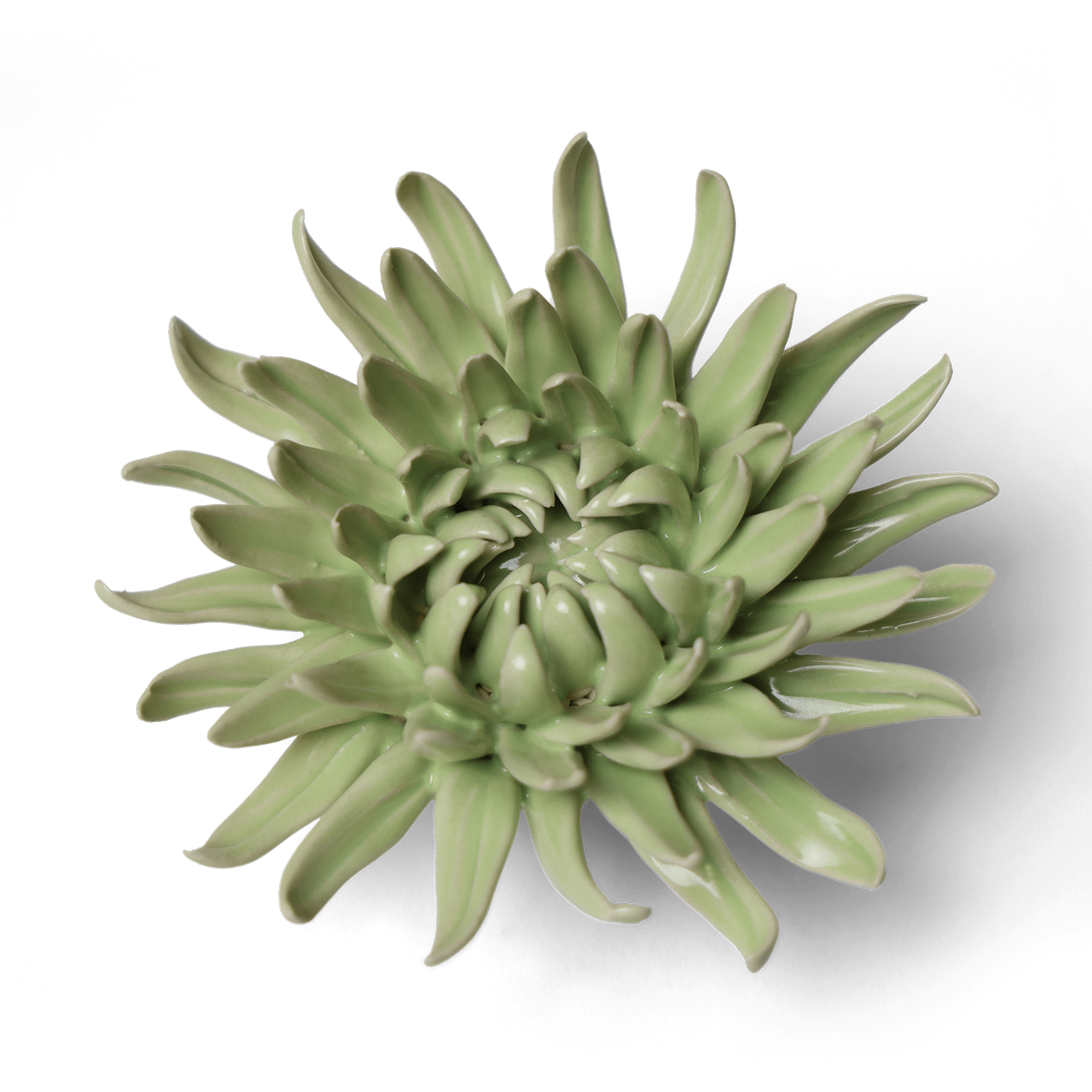 Ceramic Flowers With Keyhole For Hanging On Walls Collection 12 - Chive Ceramics Studio - Ceramic Flowers - Chive Ceramics Studio