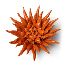 Ceramic Flower Large Orange 12 - Chive Ceramics Studio - Ceramic Flowers - Chive US