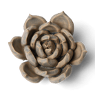 Ceramic Flowers With Keyhole For Hanging On Walls Collection 12 - Chive Ceramics Studio - Ceramic Flowers - Chive Ceramics Studio