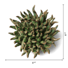Ceramic Flower Wall Art Mondo Green 4 - Chive Ceramics Studio - Ceramic Flowers - Chive US
