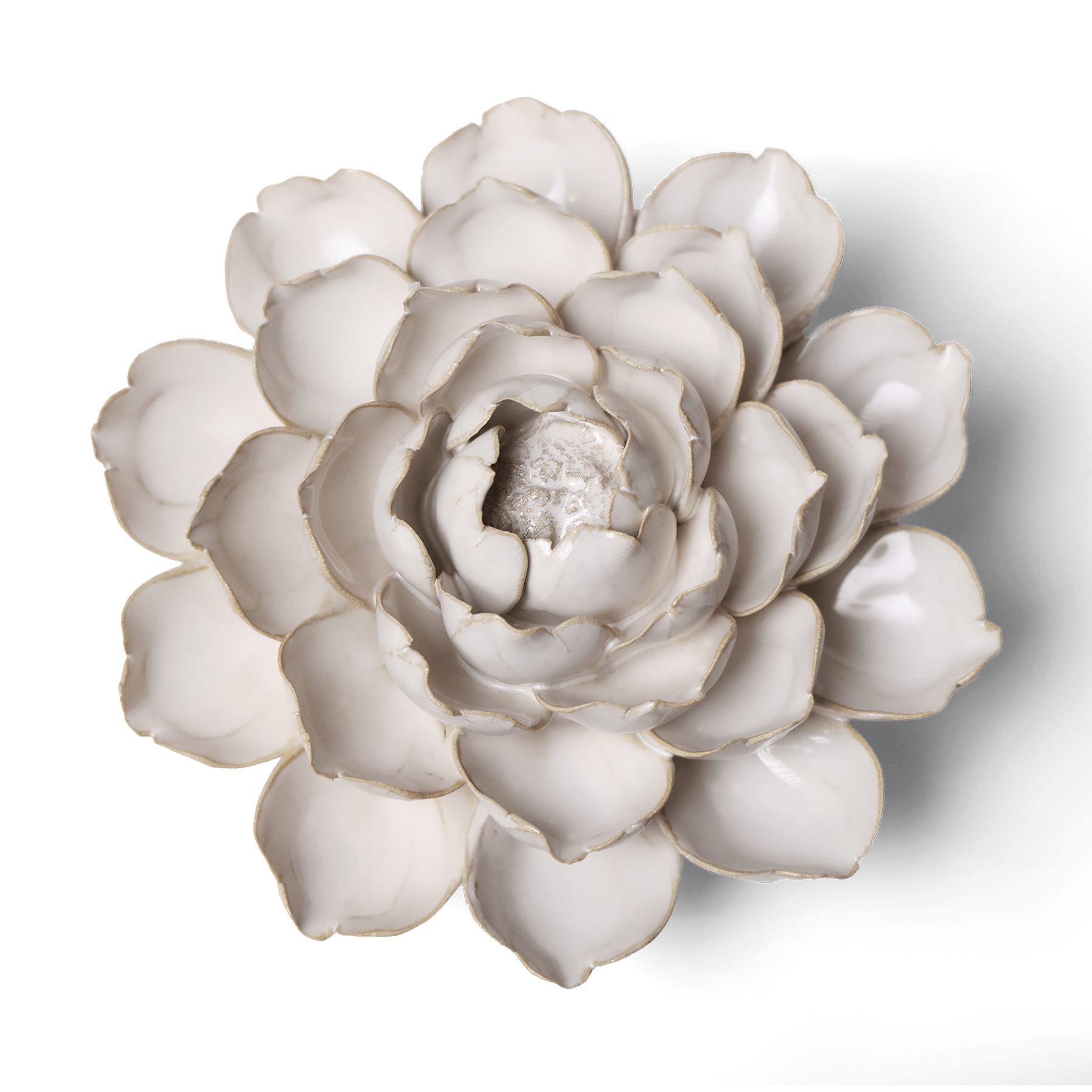 Coastal Ivory Ceramic Flowers With Keyhole For Hanging On Walls - Chive Ceramics Studio - Ceramic Flowers - Chive Ceramics Studio