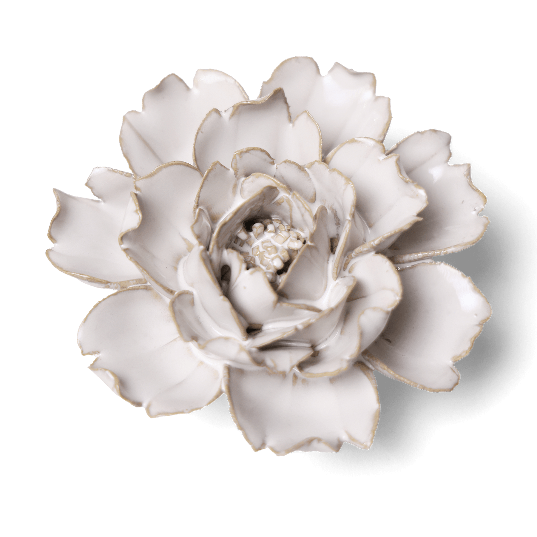 Coastal Ivory Ceramic Flowers With Keyhole For Hanging On Walls - Chive Ceramics Studio - Ceramic Flowers - Chive Ceramics Studio