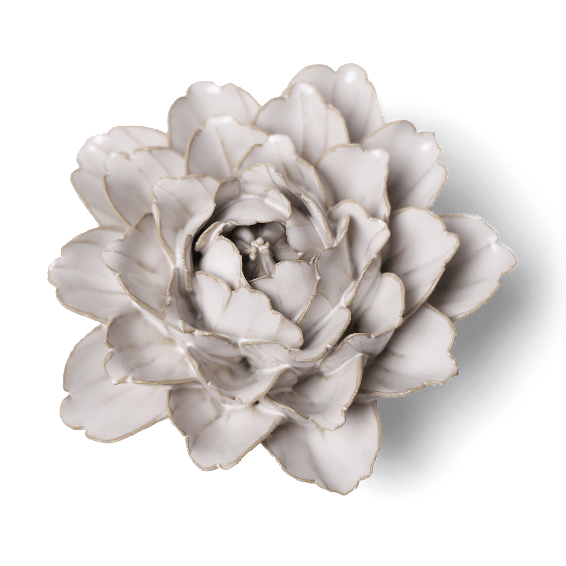 Coastal Ivory Ceramic Flowers With Keyhole For Hanging On Walls - Chive Ceramics Studio - Ceramic Flowers - Chive Ceramics Studio