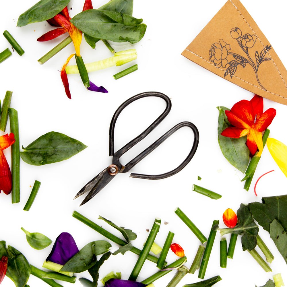 Edward Clippers Ikebana Pruning Scissors - Chive Ceramics Studio - Tools & Accessories - Chive Ceramics Studio