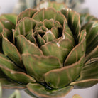 Ceramic Flower English Garden Curated Collection #1 - Chive Ceramics Studio - Ceramic Flower Sets - Chive Ceramics Studio