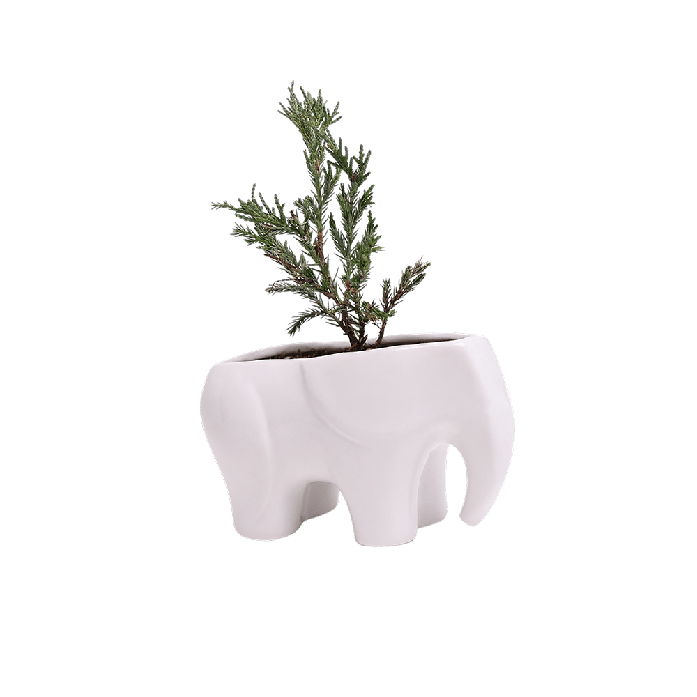 Elephant Ceramic Indoor Plant Pot For Succulents - Chive Ceramics Studio - Pots - Chive US