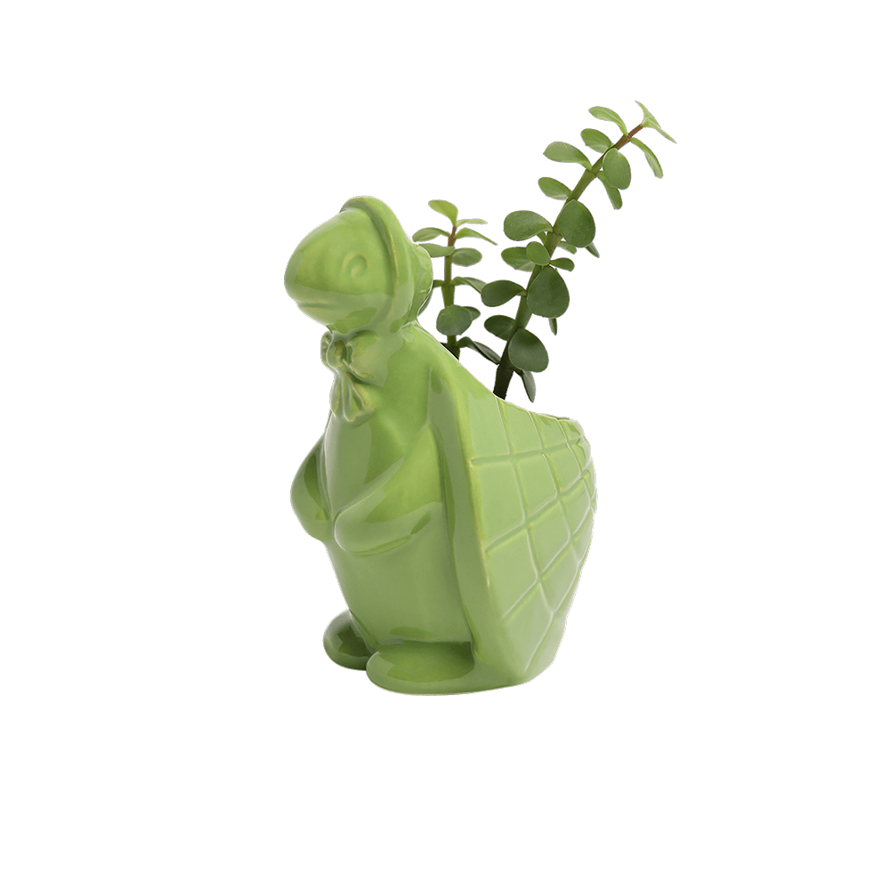 Turtle Ceramic Indoor Plant Pot For Succulents - Chive Ceramics Studio - Pots - Chive US