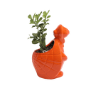 Turtle Ceramic Indoor Plant Pot For Succulents - Chive Ceramics Studio - Pots - Chive Ceramics Studio