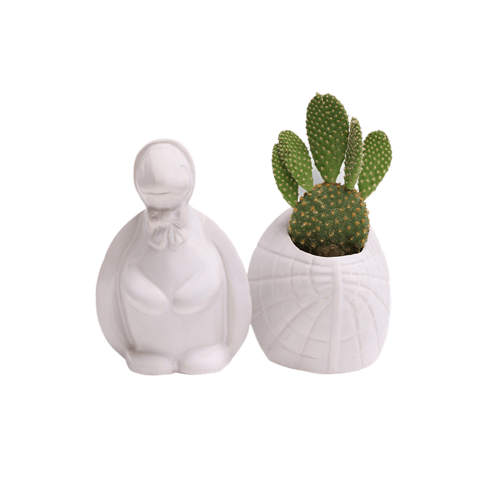 Turtle Ceramic Indoor Plant Pot For Succulents - Chive Ceramics Studio - Pots - Chive US