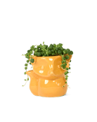 Fox Ceramic Indoor Plant Pot For Succulents - Chive Ceramics Studio - Pots - Chive Ceramics Studio