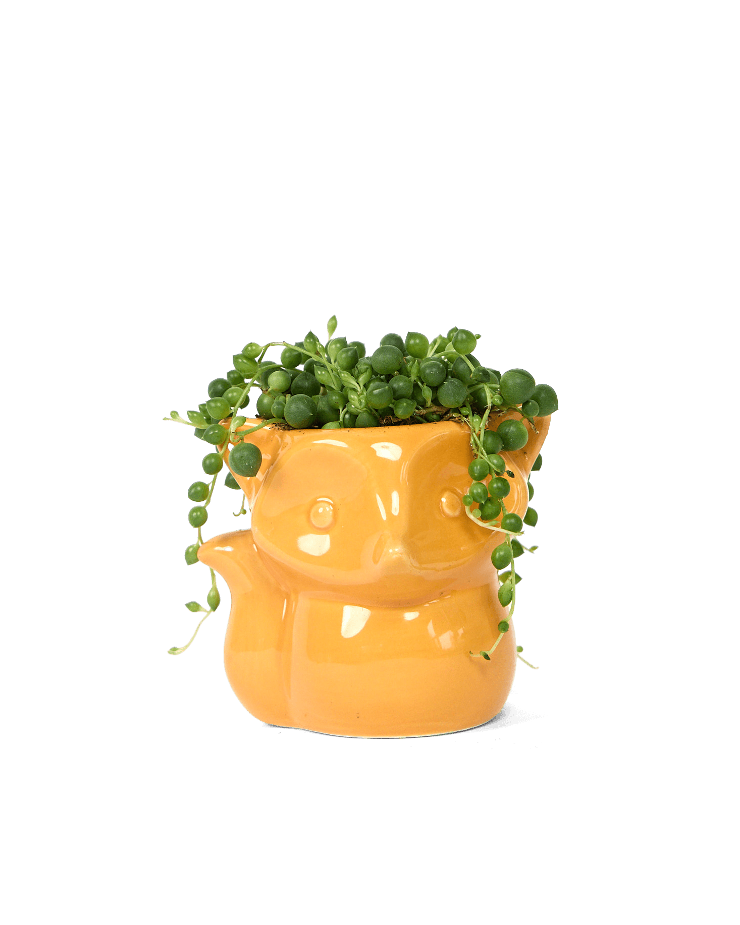 Fox Ceramic Indoor Plant Pot For Succulents - Chive Ceramics Studio - Pots - Chive Ceramics Studio