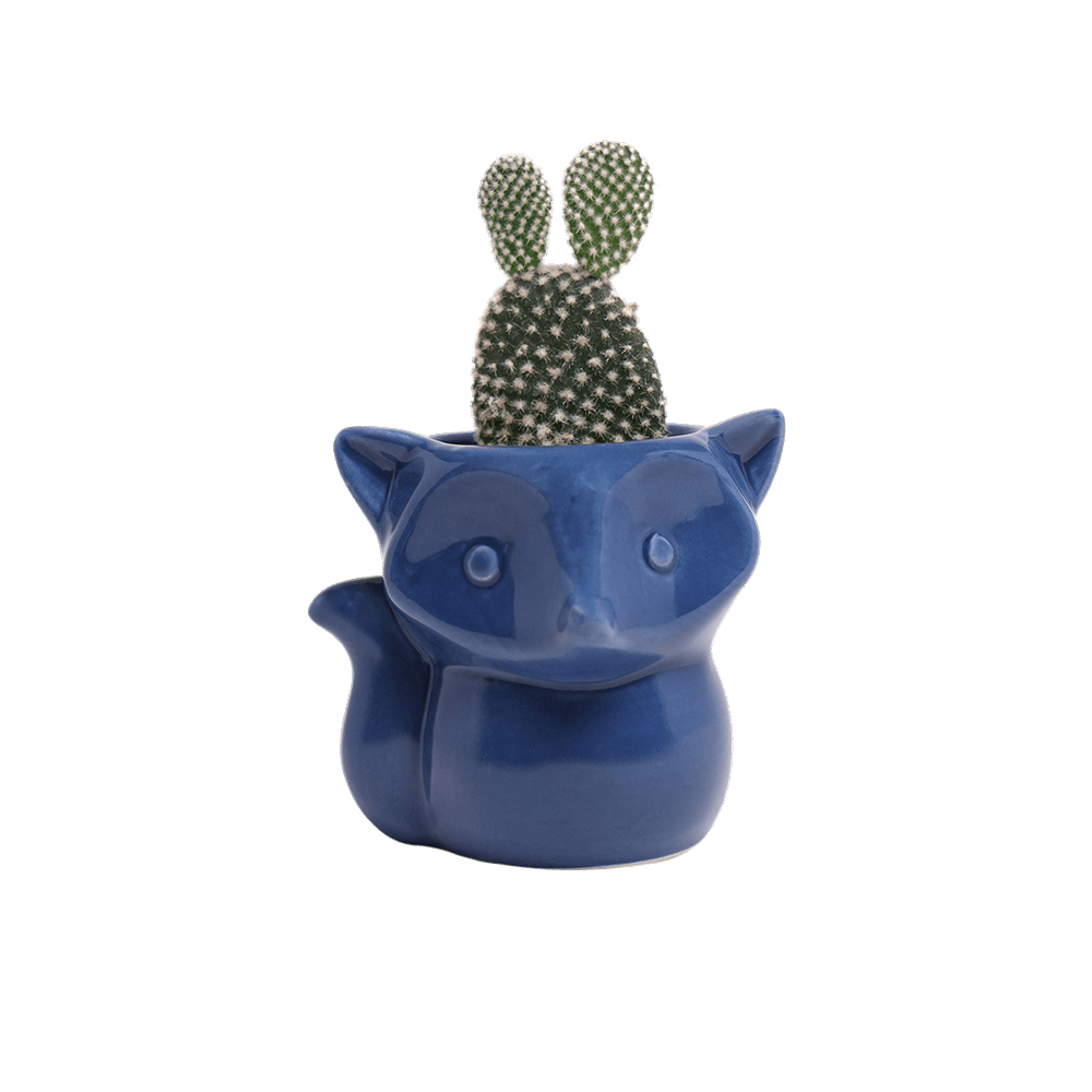 Fox Ceramic Indoor Plant Pot For Succulents - Chive Ceramics Studio - Pots - Chive Ceramics Studio