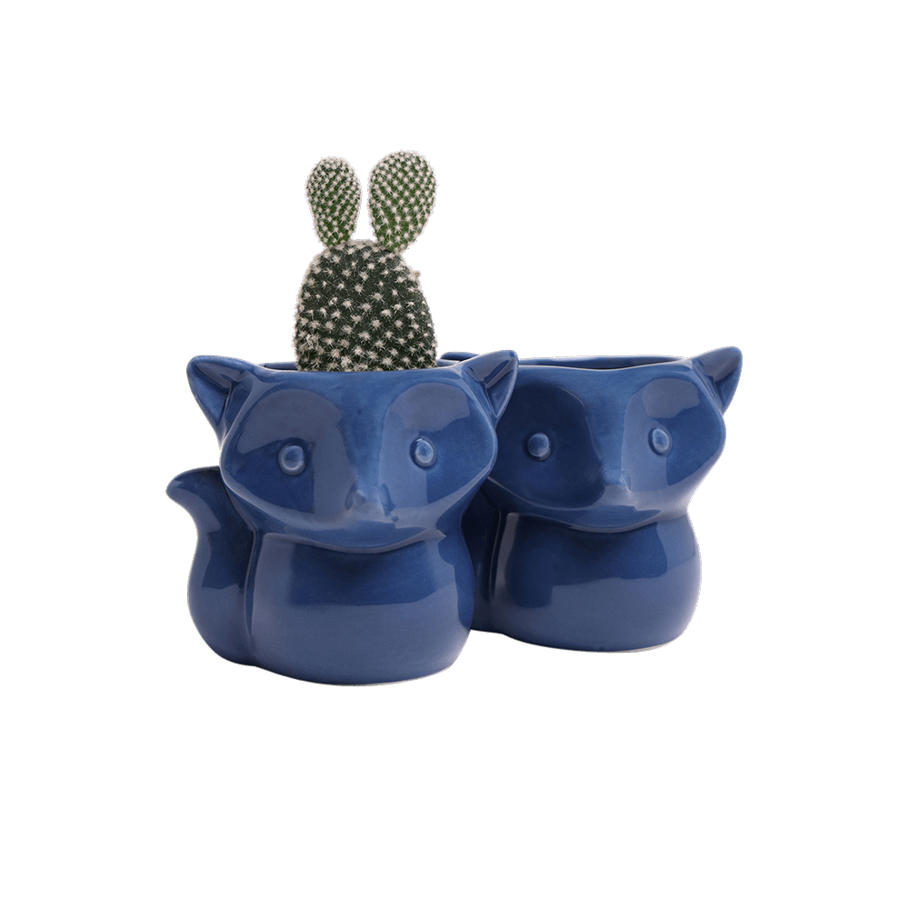Fox Ceramic Indoor Plant Pot For Succulents - Chive Ceramics Studio - Pots - Chive Ceramics Studio