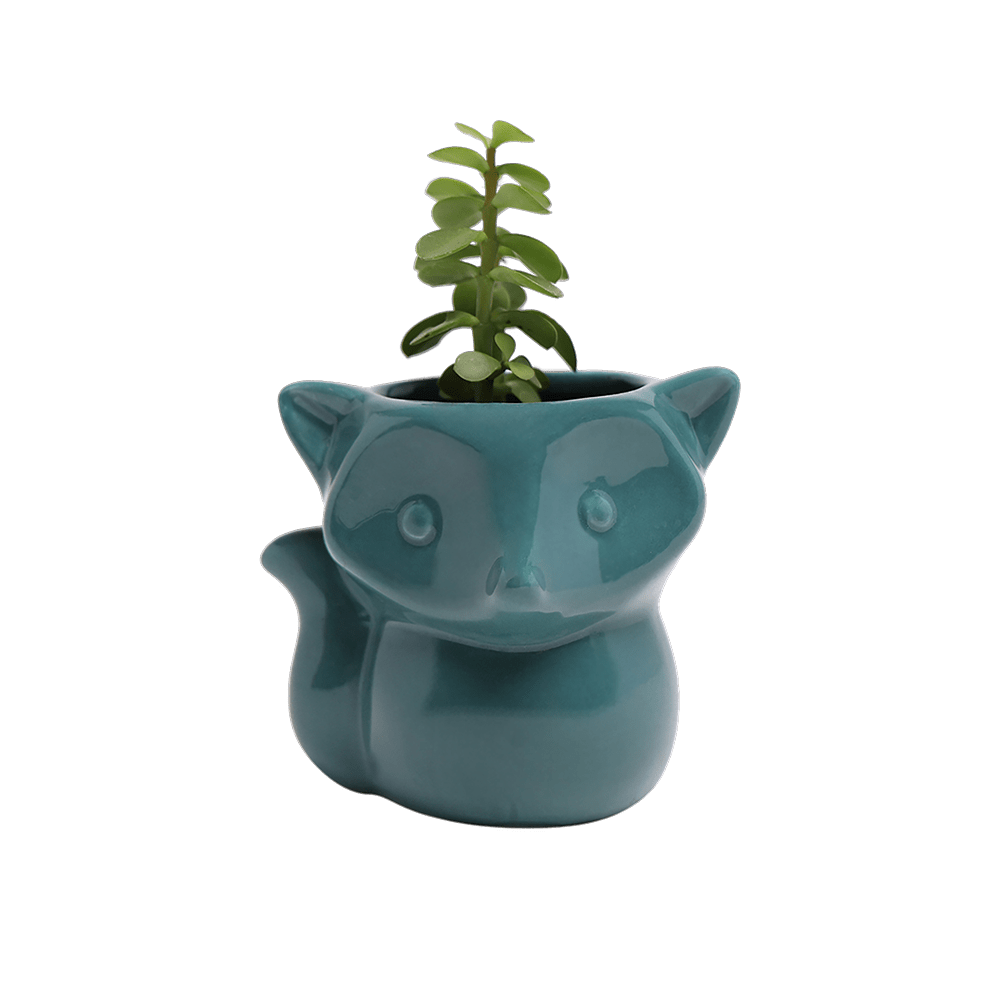 Fox Ceramic Indoor Plant Pot For Succulents - Chive Ceramics Studio - Pots - Chive Ceramics Studio