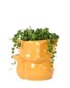 Fox Ceramic Indoor Plant Pot For Succulents - Chive Ceramics Studio - Pots - Chive Ceramics Studio
