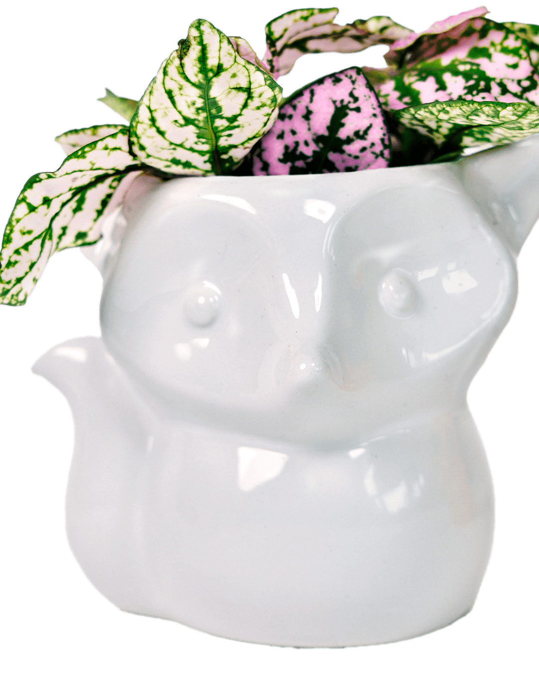 Fox Ceramic Indoor Plant Pot For Succulents - Chive Ceramics Studio - Pots - Chive Ceramics Studio