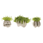 Gideon Ceramic Air Plant Container - Chive Ceramics Studio - Tools & Accessories - Chive Ceramics Studio