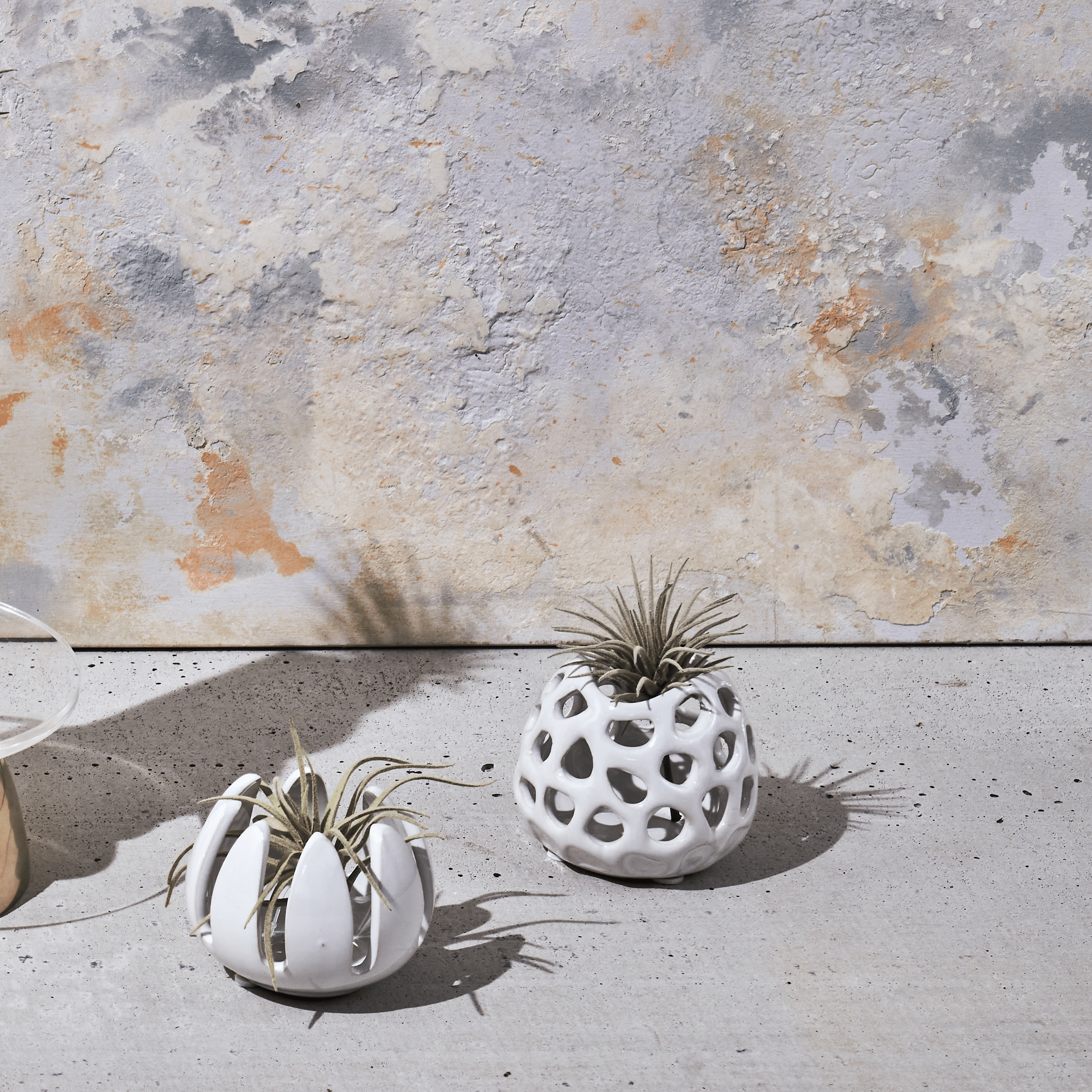 Gideon Ceramic Air Plant Container - Chive Ceramics Studio - Tools & Accessories - Chive Ceramics Studio