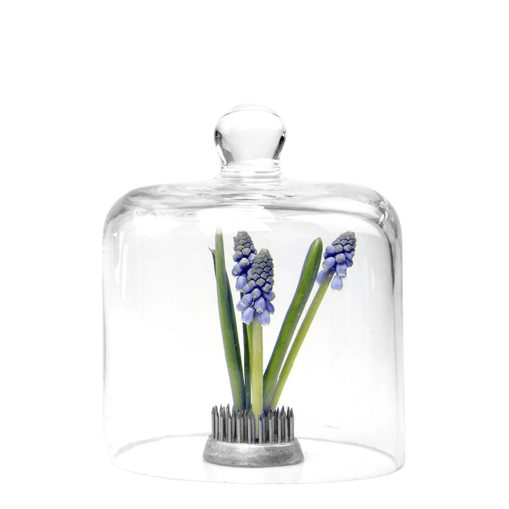 Gip Glass Cloche - Chive Ceramics Studio - Tools & Accessories - Chive US