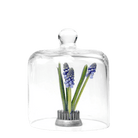 Gip Glass Cloche - Chive Ceramics Studio - Tools & Accessories - Chive US