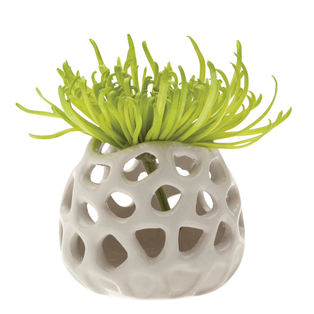 Gideon Ceramic Air Plant Container - Chive Ceramics Studio - Tools & Accessories - Chive Ceramics Studio