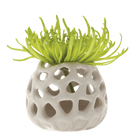 Gideon Ceramic Air Plant Container - Chive Ceramics Studio - Tools & Accessories - Chive Ceramics Studio