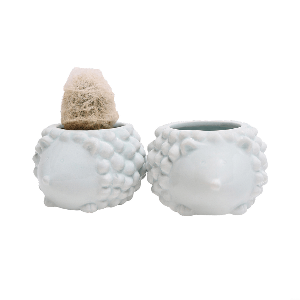 Hedgehog Ceramic Indoor Plant Pot For Succulents - Chive Ceramics Studio - Pots - Chive US