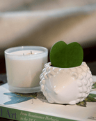 Hedgehog Ceramic Indoor Plant Pot For Succulents - Chive Ceramics Studio - Pots - Chive US