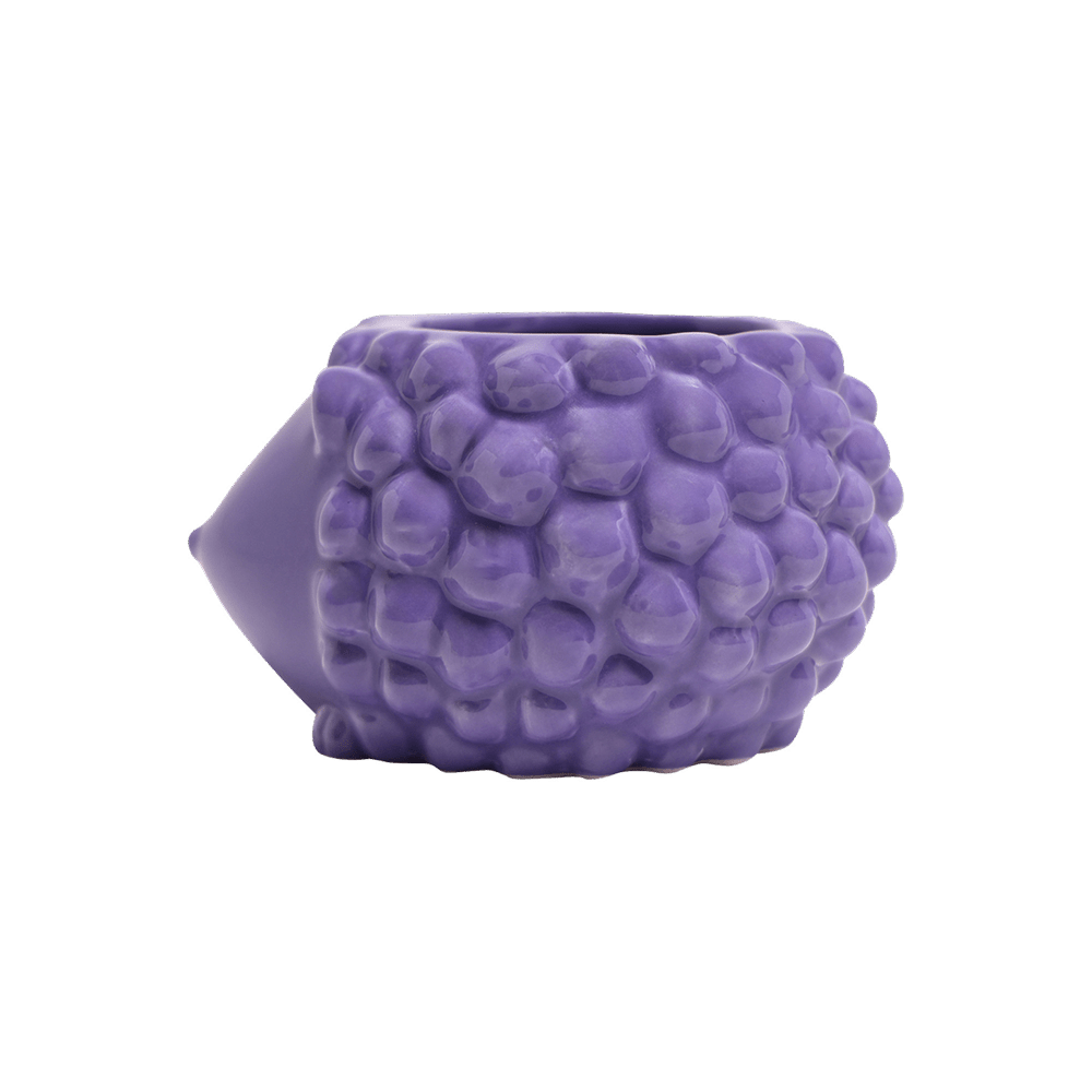 Hedgehog Ceramic Indoor Plant Pot For Succulents - Chive Ceramics Studio - Pots - Chive US
