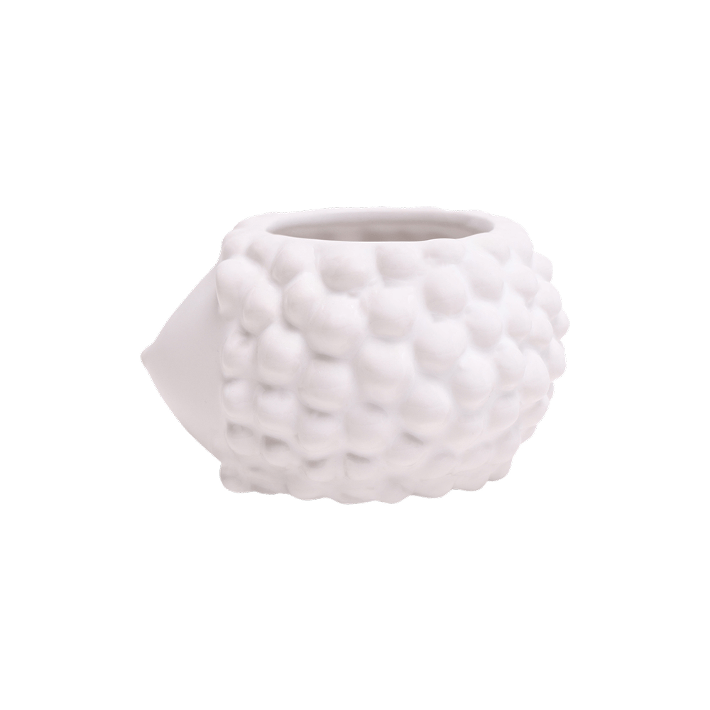 Hedgehog Ceramic Indoor Plant Pot For Succulents - Chive Ceramics Studio - Pots - Chive US