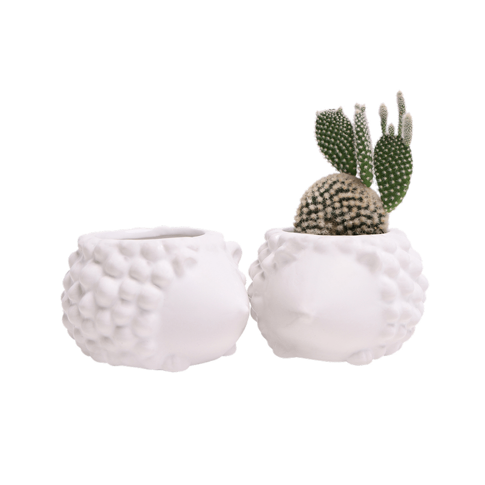 Hedgehog Ceramic Indoor Plant Pot For Succulents - Chive Ceramics Studio - Pots - Chive US