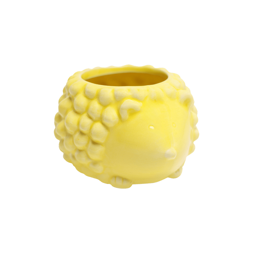 Hedgehog Ceramic Indoor Plant Pot For Succulents - Chive Ceramics Studio - Pots - Chive US