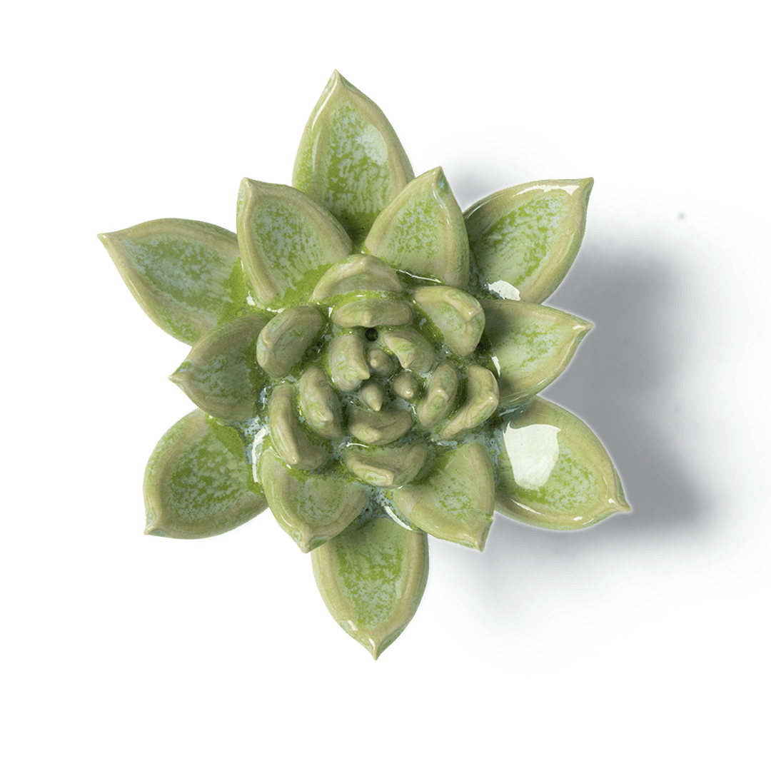 Japan Ceramic Flower Green Succulent - Chive Ceramics Studio - Ceramic Flowers - Chive US