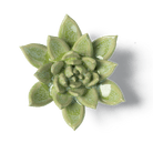 Japan Ceramic Flower Green Succulent - Chive Ceramics Studio - Ceramic Flowers - Chive US