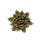Japan Ceramic Flowers With Keyhole For Hanging On Walls - Chive Ceramics Studio - Ceramic Flowers - Chive Ceramics Studio