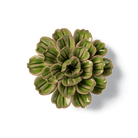 Japan Ceramic Flower Olive Petunia - Chive Ceramics Studio - Ceramic Flowers - Chive US