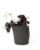 Katakana Ceramic Pot Planter - Chive Ceramics Studio - Pots - Chive Ceramics Studio