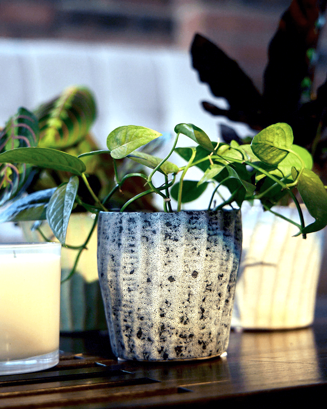 Katakana Ceramic Pot Planter - Chive Ceramics Studio - Pots - Chive Ceramics Studio