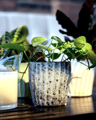 Katakana Ceramic Pot Planter - Chive Ceramics Studio - Pots - Chive Ceramics Studio