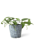 Katakana Ceramic Pot Planter - Chive Ceramics Studio - Pots - Chive Ceramics Studio