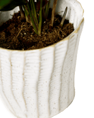 Katakana Ceramic Pot Planter - Chive Ceramics Studio - Pots - Chive Ceramics Studio