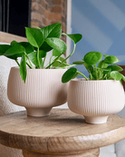 Lilo Porcelain Modern Indoor Plant Pot - Chive Ceramics Studio - Pots - Chive US