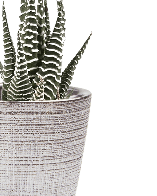 Mick Ceramic Pot And Saucer Set With Drainage - Chive Ceramics Studio - Pots - Chive US